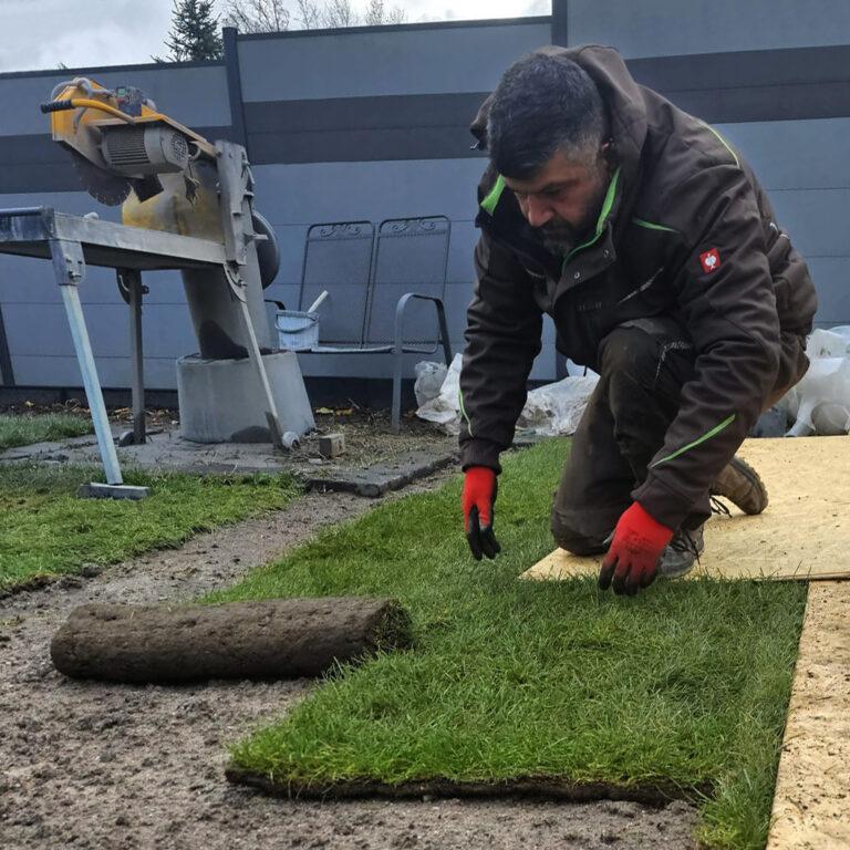 Rollrasenbahnen werden ausgerollt